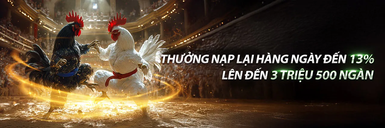 Tải ứng dụng 55de link mới