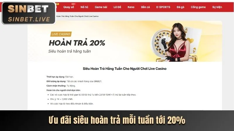 Hoàn trả cược thua 55de